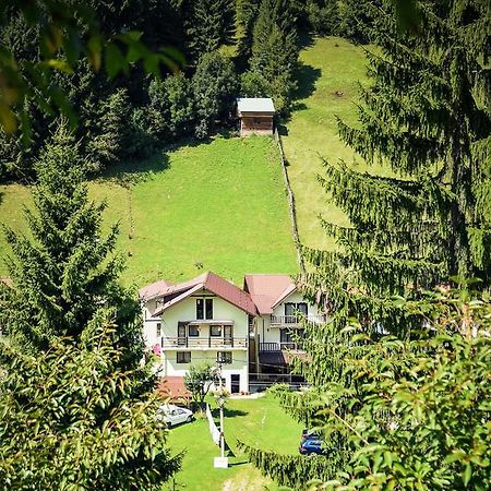 Pensiunea Puiu Moeciu De Sus Exterior photo